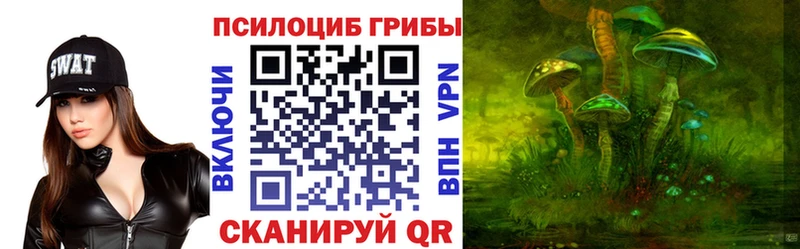 Псилоцибиновые грибы GOLDEN TEACHER  Электросталь 